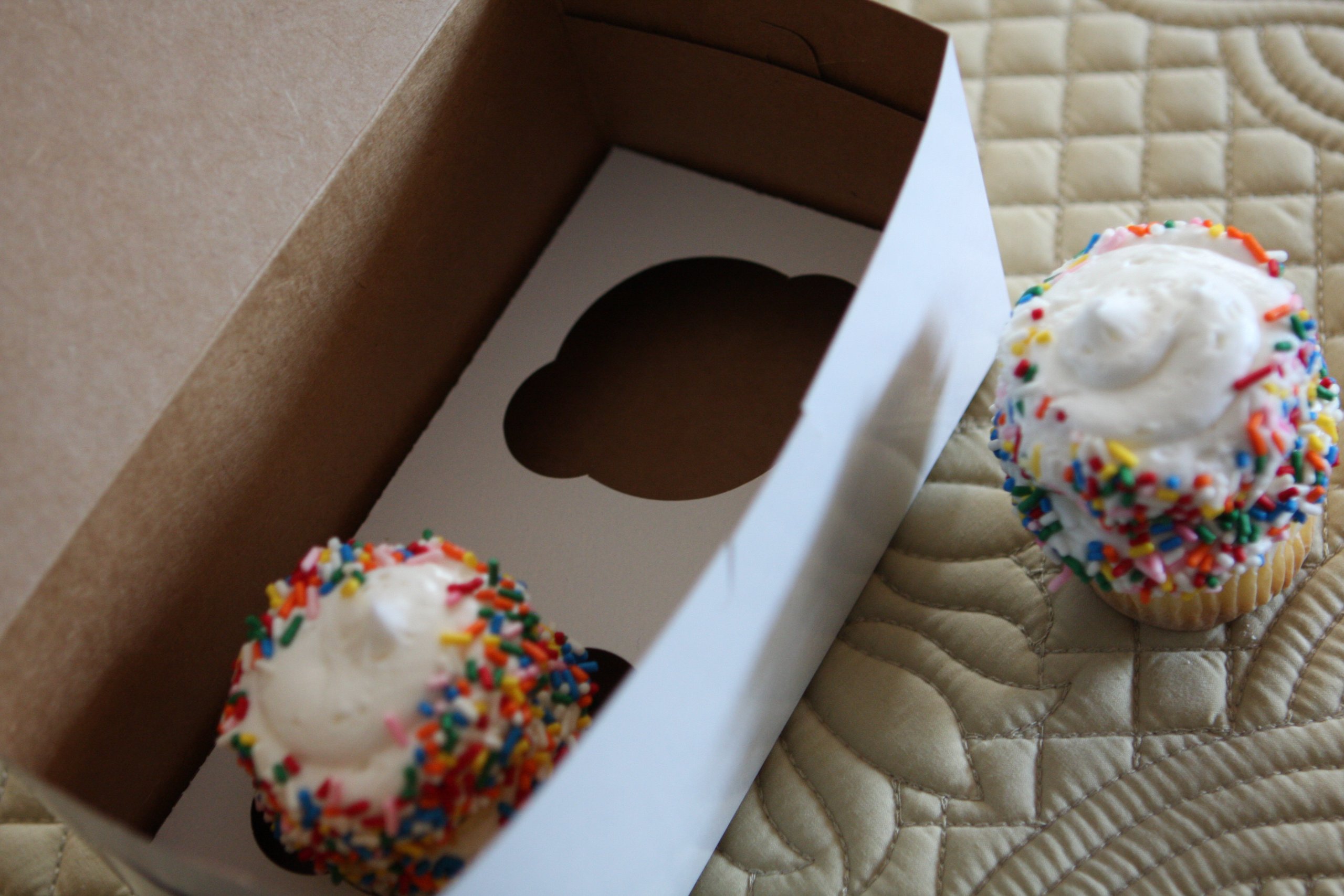 SCT White Bakery Boxes 8x4x4 Inches - 250 Pack Bulk One-Piece Paper Pastry Boxes for Cupcakes, Cookies & Donuts - Non-Window Cake Packaging for Bakeries, Cafes & Events