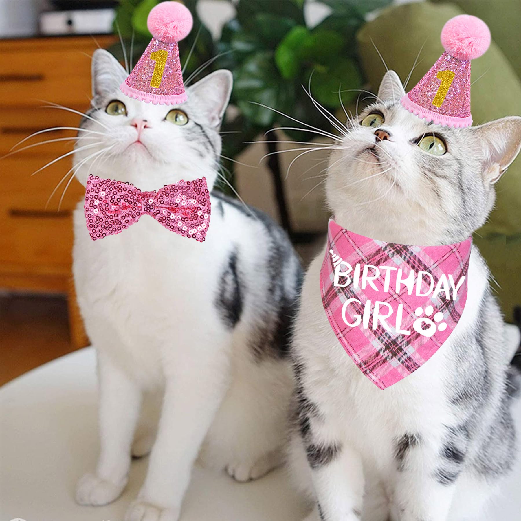 STMK Cat Birthday Party Supplies Set - Birthday Hat with Number, Bandana, Bow Tie Collar & Outfits for Kittens - Pink Pet Celebration Decorations | Perfect for Cat Birthday Parties, Photo Shoots & Special Occasions