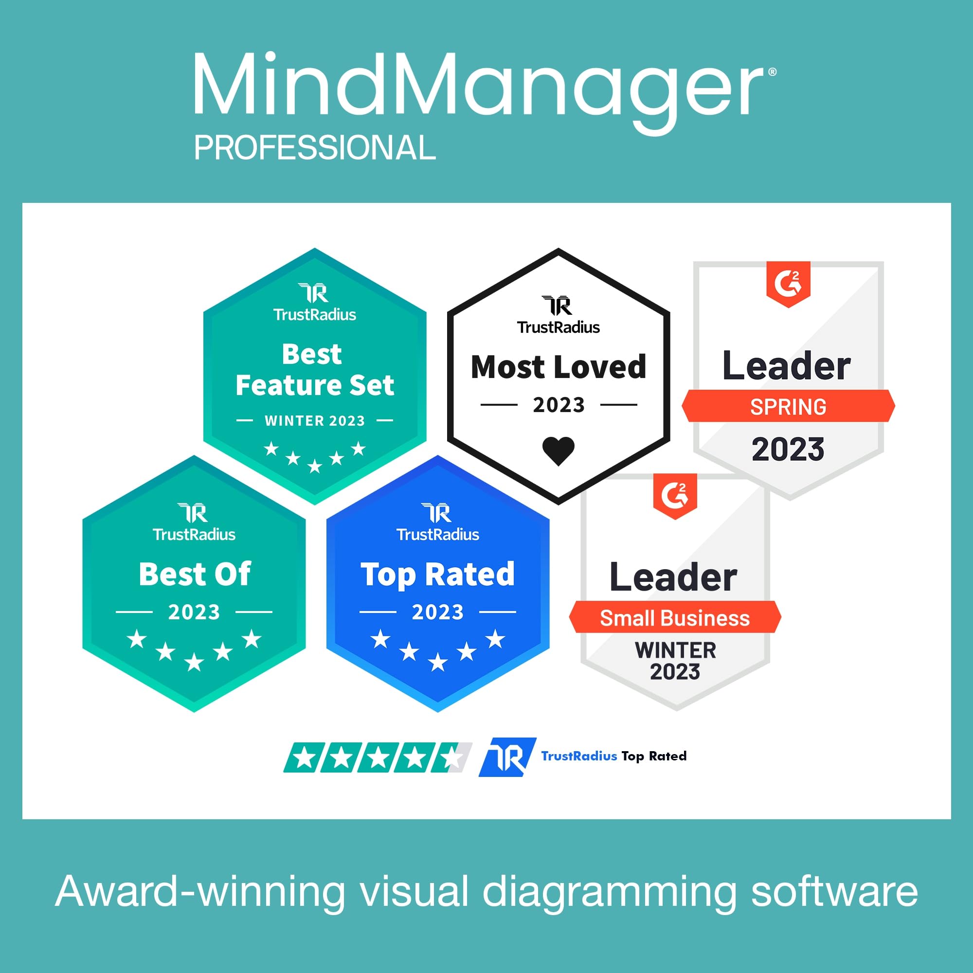 MindManager Professional 1 Year Subscription - Powerful Mind Mapping & Visualization Software for PC & Mac | Boost Productivity, Brainstorming & Project Planning