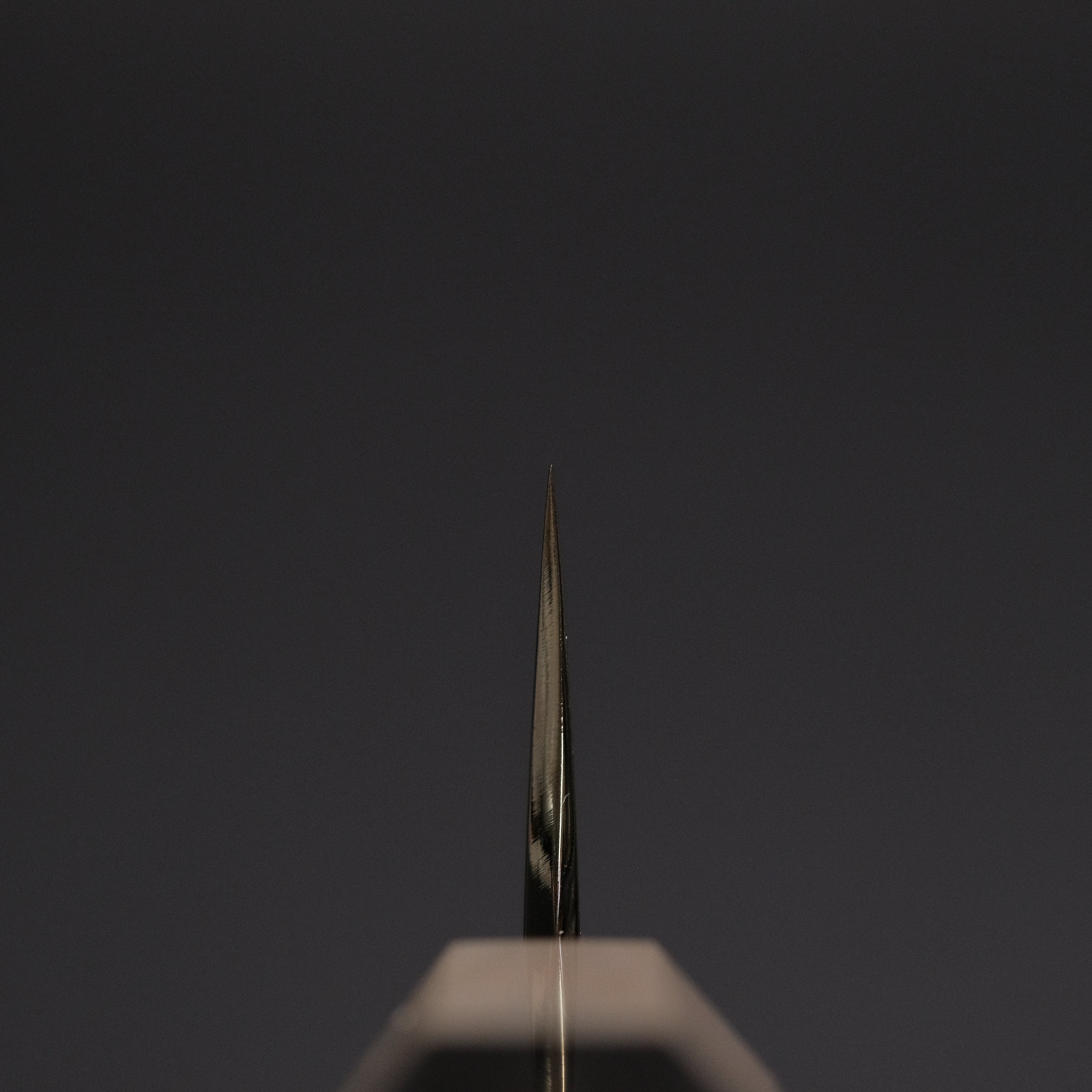 Hitohira Togashi Blue #1 Stainless Clad Kasumi Sujihiki 270mm Japanese Chef Knife with Ebony Handle - Perfect for Slicing Sashimi, Roast Beef & Boneless Meats