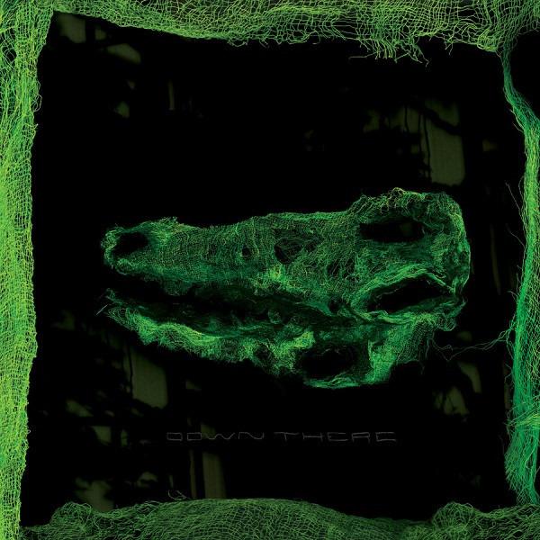 Avey Tare Down There Vinyl LP - Animal Collective Indie Rock Album | Perfect for Record Collectors & Music Lovers | Home Listening, Gifts, Vinyl Enthusiasts