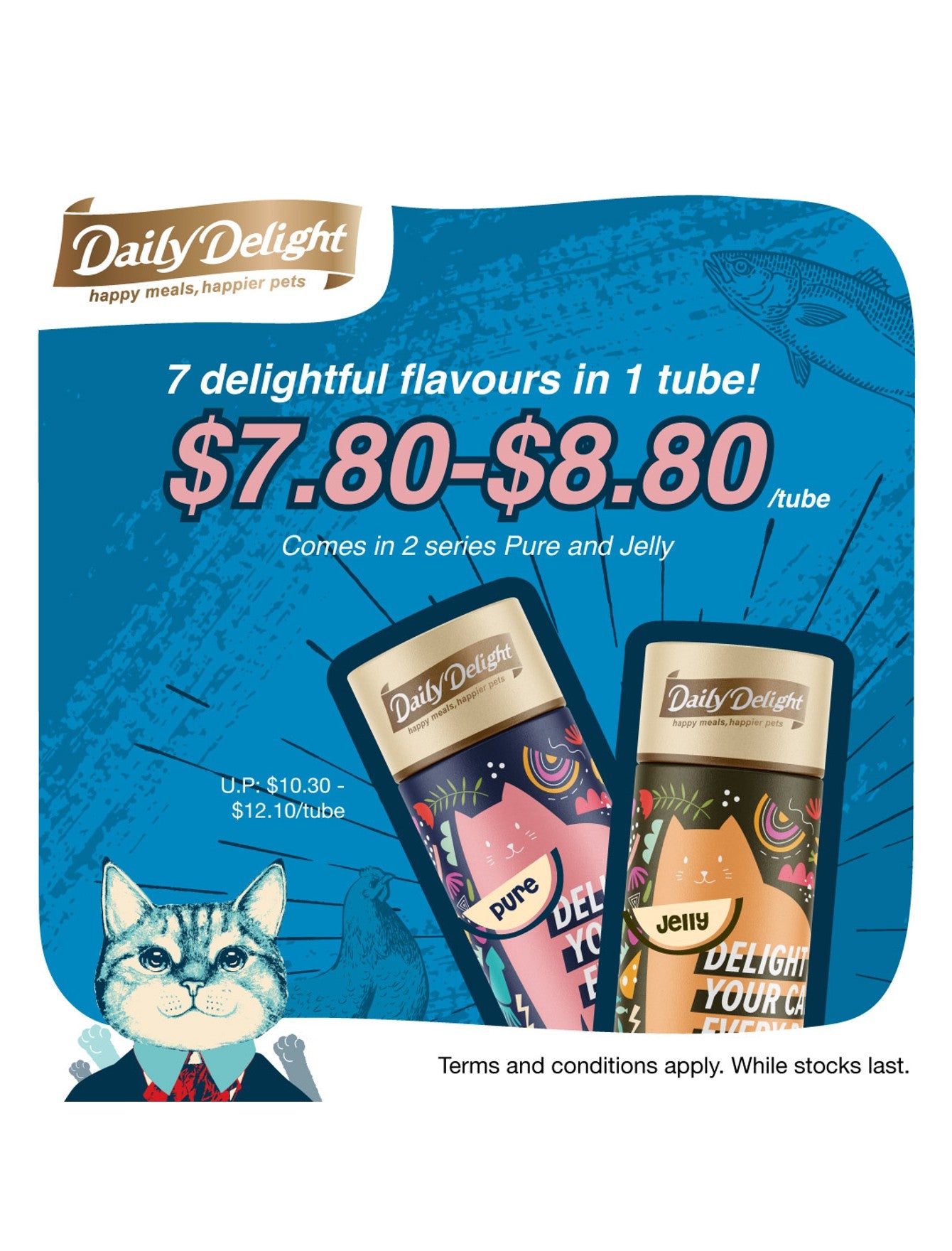Premium Jelly Cat Wet Food - Limited Edition Special Tube, 560g for Daily Delight | High-Quality Cat Food for Adult & Senior Cats | Perfect for Mealtime, Travel & Treats