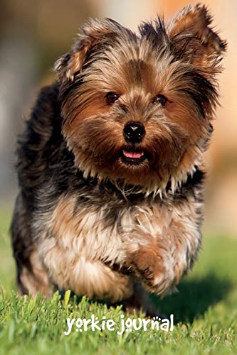 Yorkie Journal: 6x9 Inch Wide Ruled Lined Notebook for Yorkie Lovers - 200 Pages for Dog Training, Grooming Notes & Pet Care Journaling
