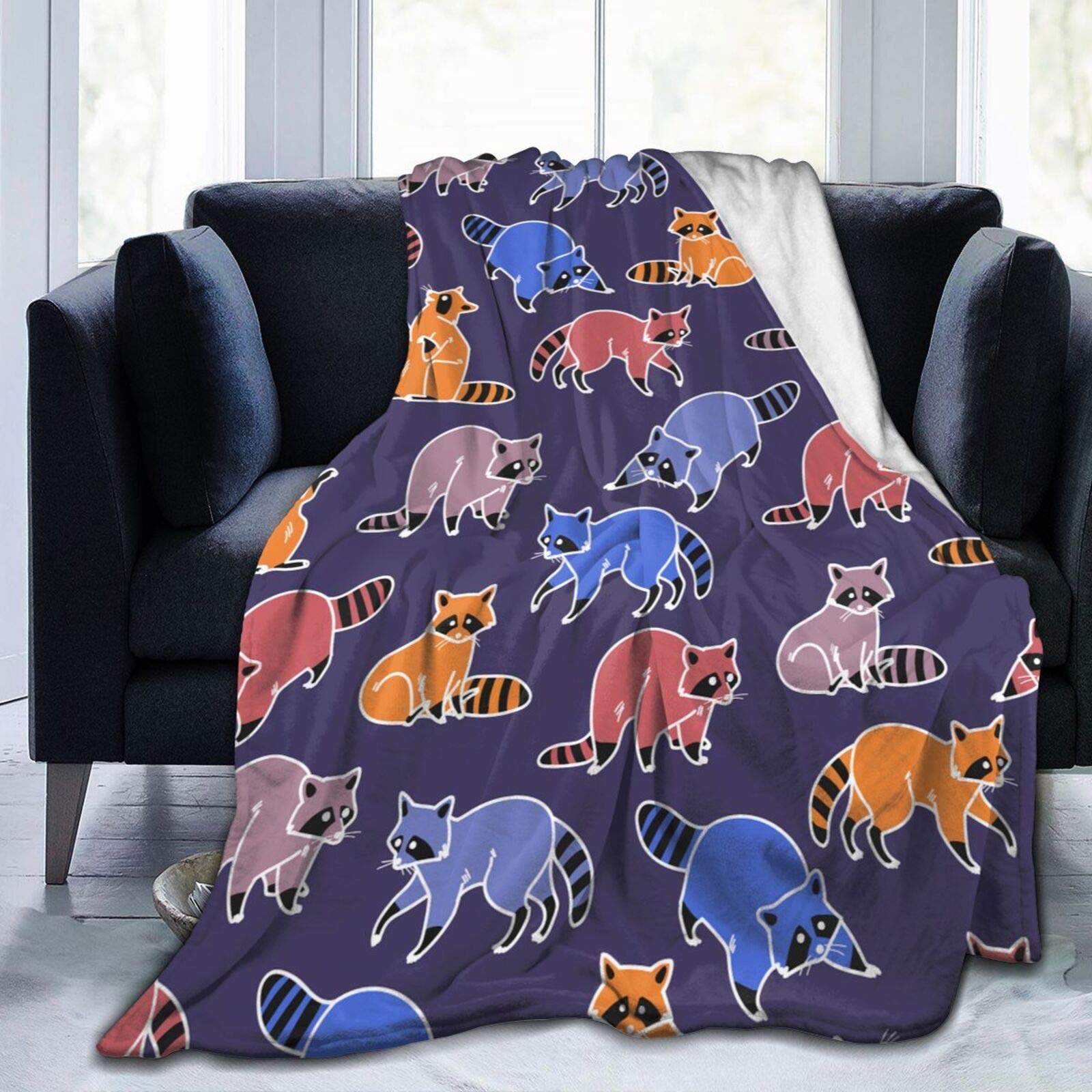 Feartdiy Cartoon Cute Raccoon Fleece Blanket - Ultra Soft King Size 60