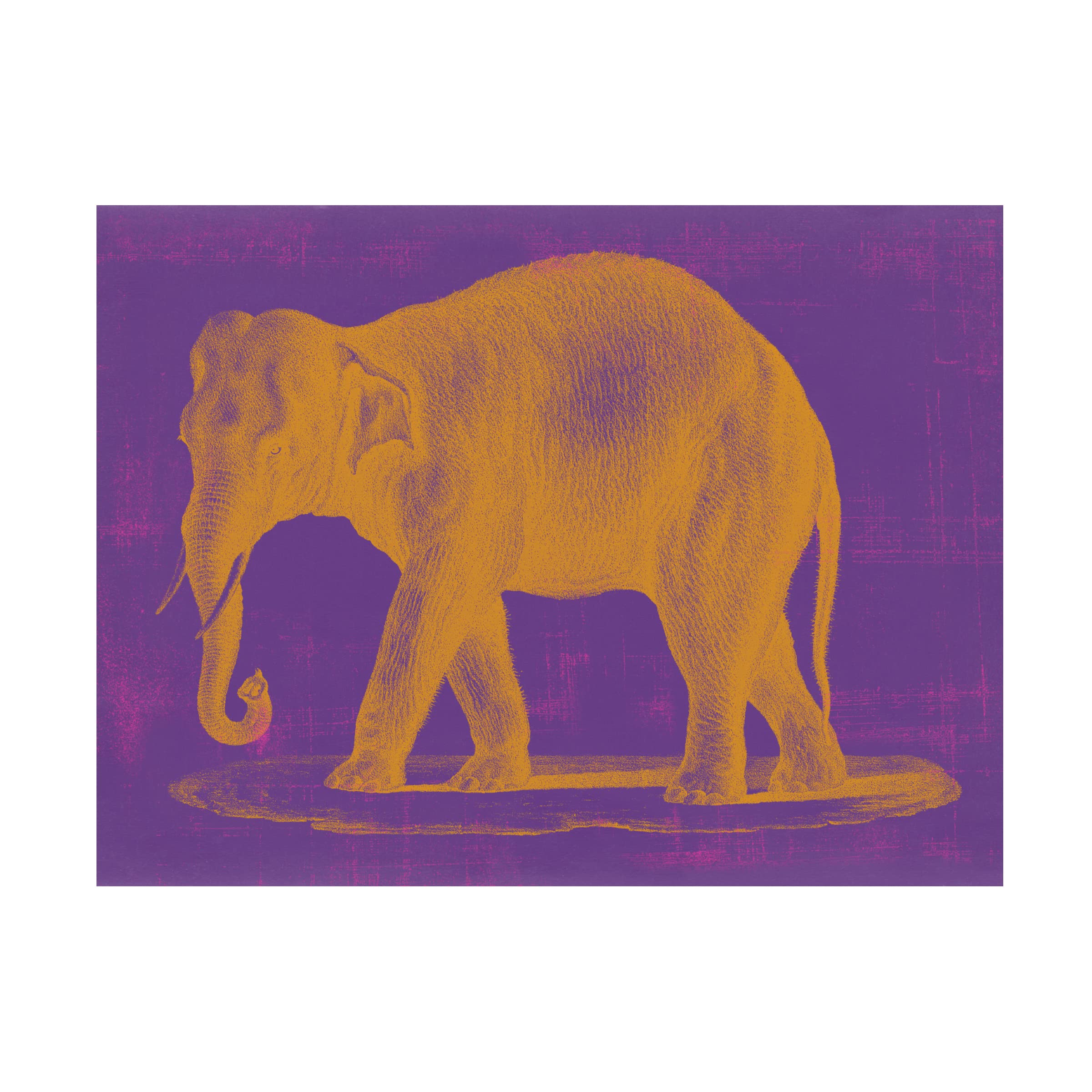 Trademark Fine Art 'Safari Pop II' Canvas Wall Art by Studio W - Modern African Wildlife Painting for Living Room & Office Decor