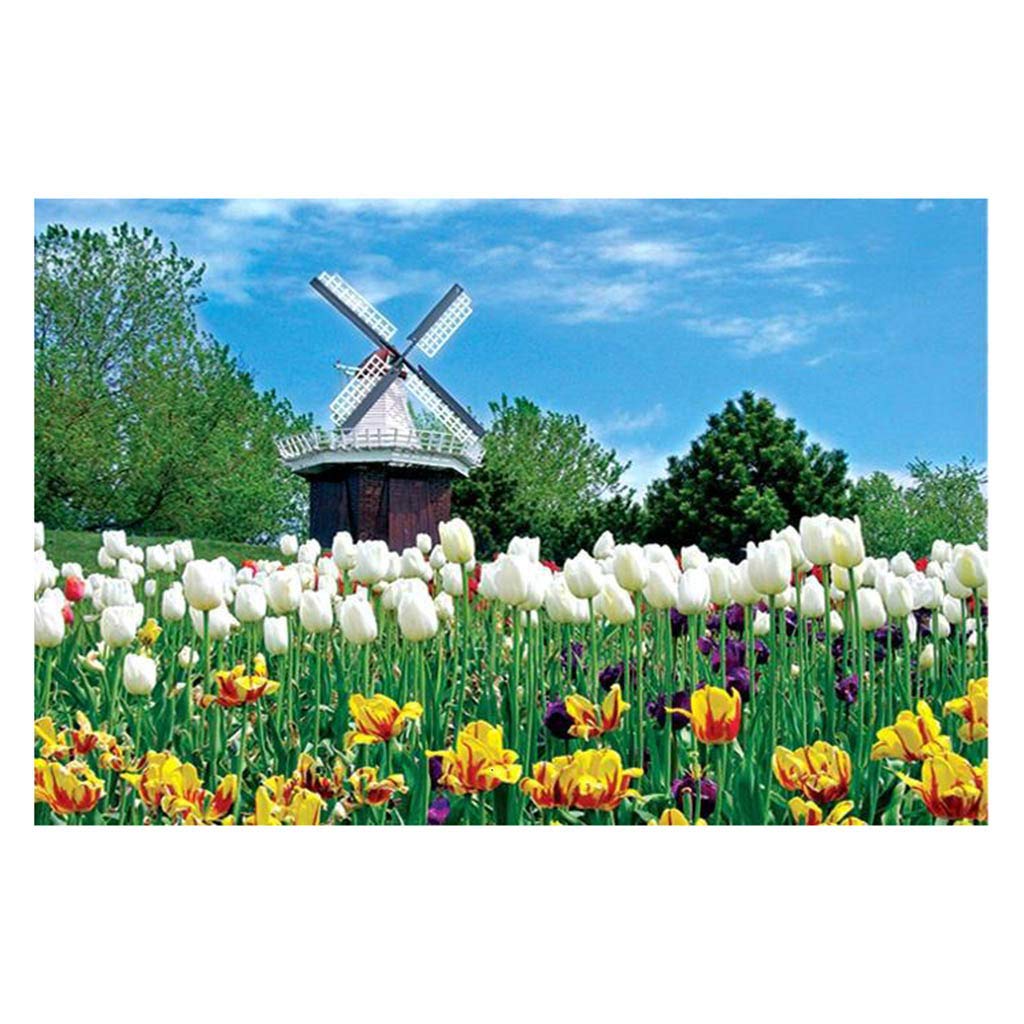1000 Piece Jigsaw Puzzles for Adults - Colorful Landscape Picture Puzzle Game, Educational Brain Teaser Toy for Family & Friends (Great for Stress Relief, Party Games, and Classroom Activities)