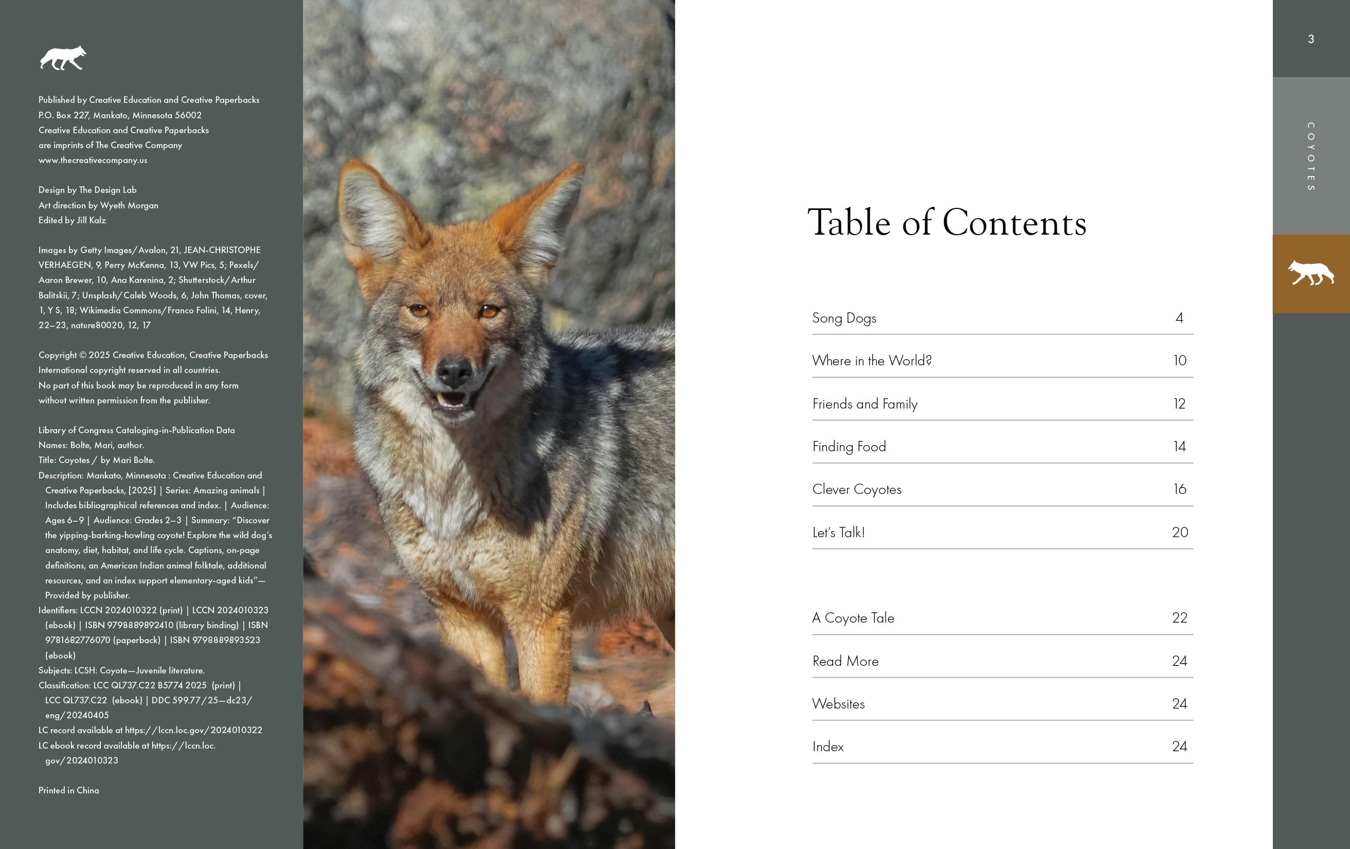 Amazing Coyotes 2025 - Wildlife Photography & Nature Decor - Perfect for Home, Office & Gifts