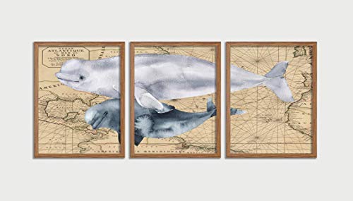 Beluga Whale Map Poster - Atlantic Ocean Life Art Print, Watercolor Wall Decor for Beach House & Nautical Theme Rooms | Perfect for Living Room, Bedroom, Office & Coastal Home Decoration