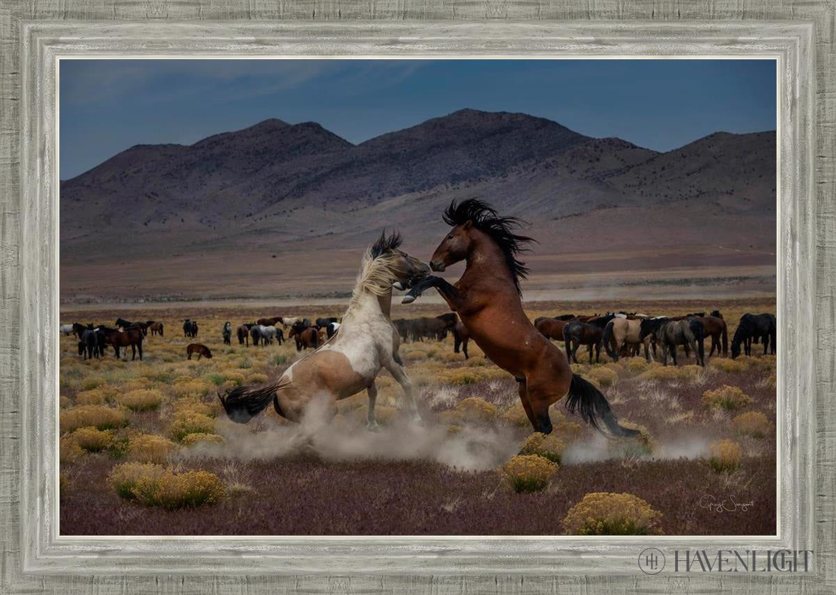 Desert Duel 5 by Greg Sargent - Western Action Novel - Perfect for Book Clubs & Cowboy Adventure Fans