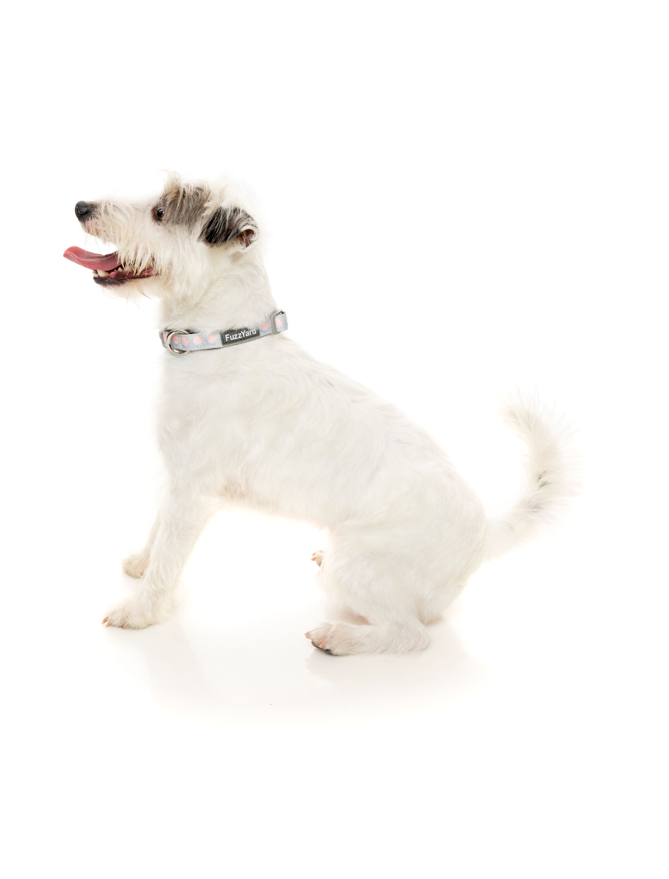Fuzzyard Adjustable Pet Collar for Dogs & Cats - Soft & Comfortable with Quick-Release Buckle (3 Sizes: Small, Medium, Large) - Perfect for Daily Walks, Training & Outdoor Adventures