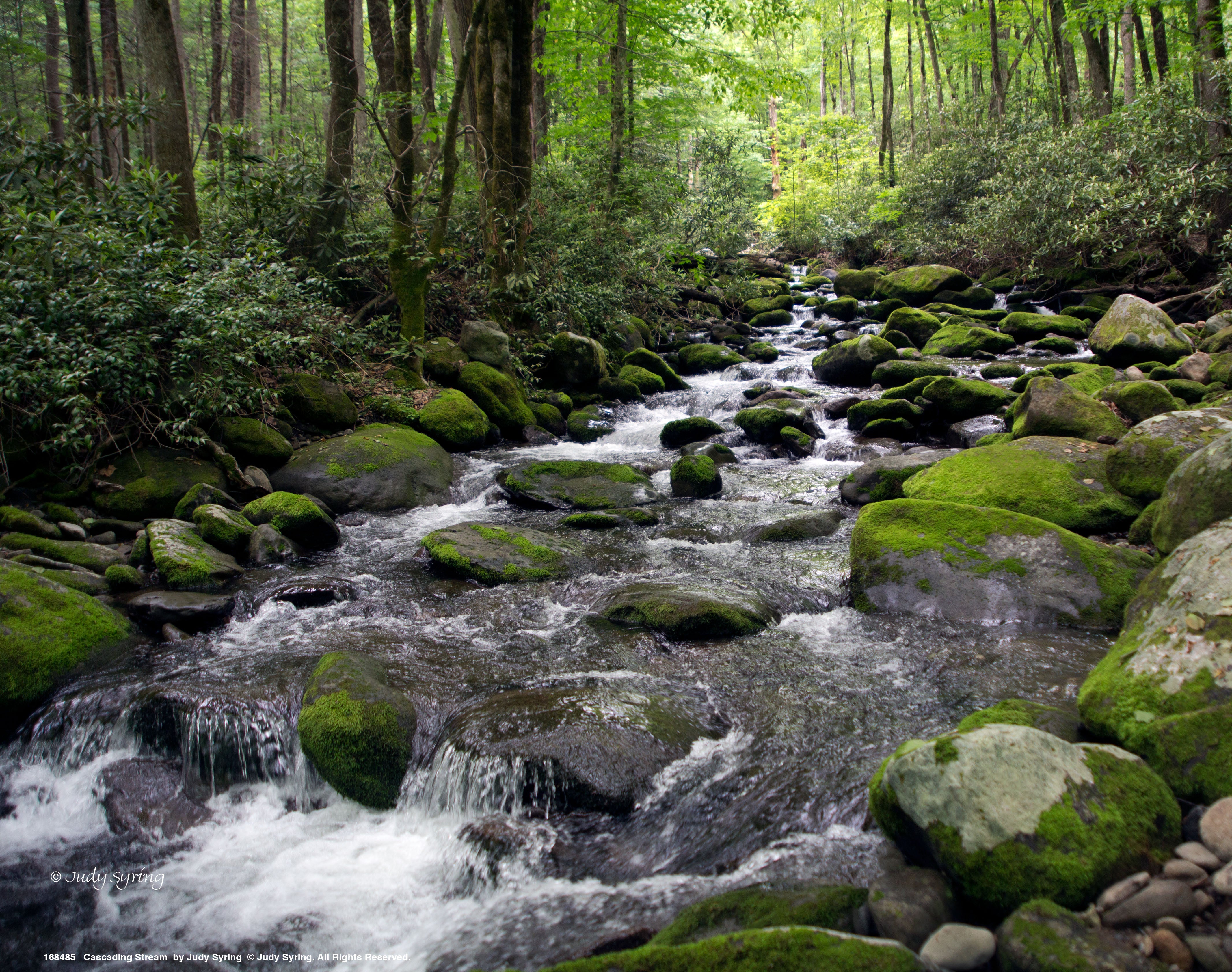 Stunning Cascading Stream Art Prints - Nature Landscape Wall Decor for Living Room, Bedroom & Office - Perfect Gift for Home & Office Decor