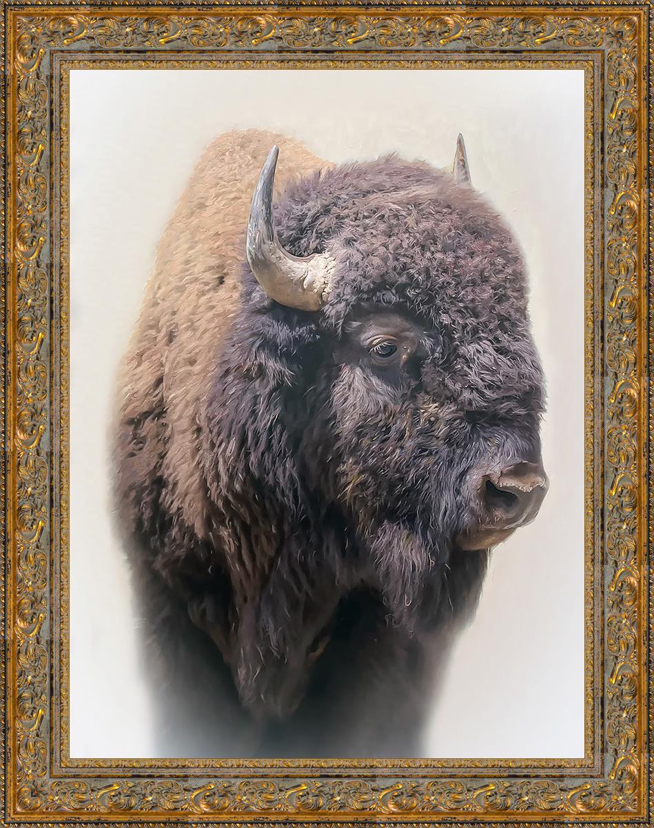 Bison By Matthew Grant | Premium Bison Meat & Jerky | High-Protein Snacks for Camping, Hiking & Outdoor Adventures