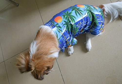 Hawaiian Beach Coconut Tree Print Dog Shirt - Summer Camp Pet Shirt for Small & Medium Dogs (Blue, M) - Perfect for Beach Outings, Pool Parties & Tropical Vacations