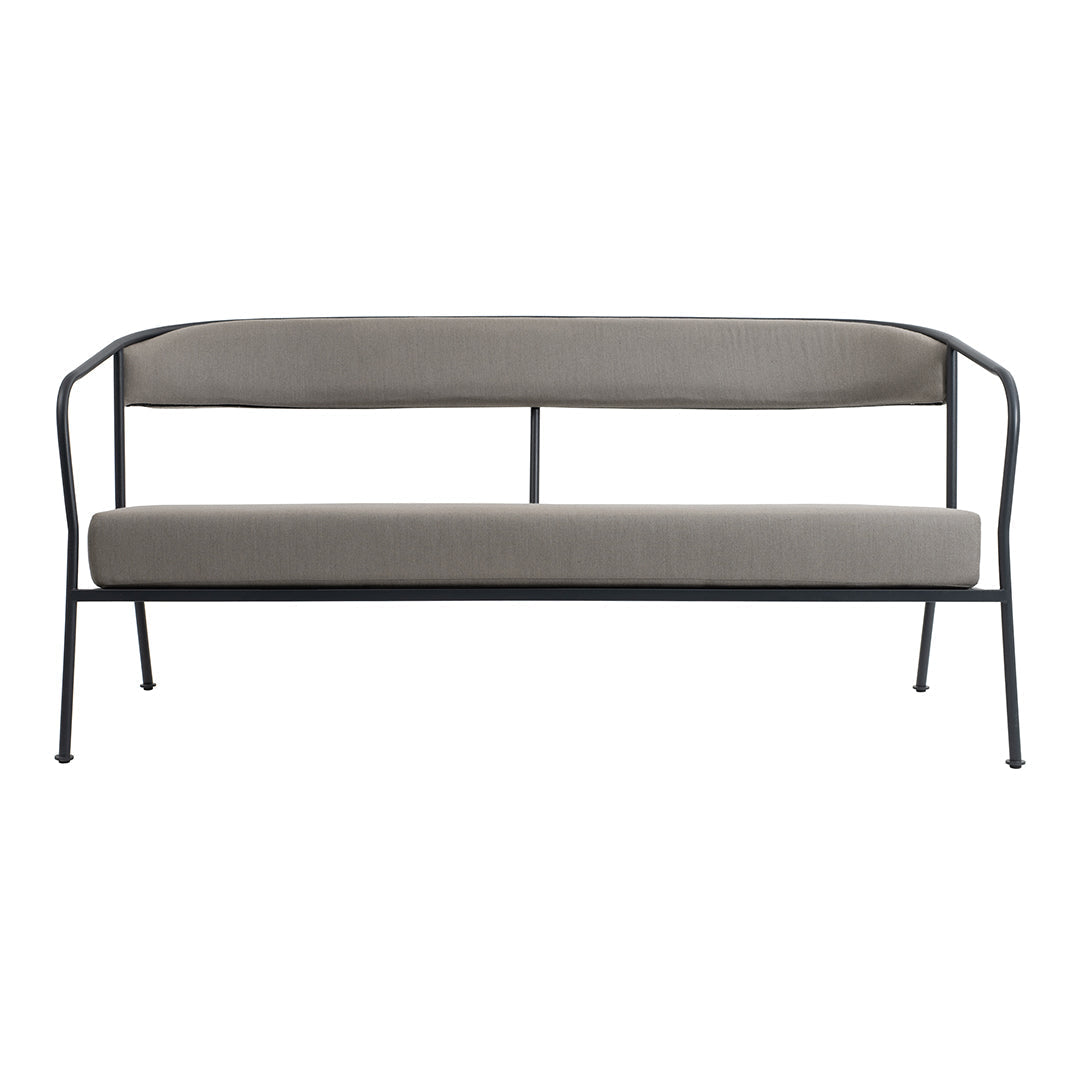Grey Agora Fossil