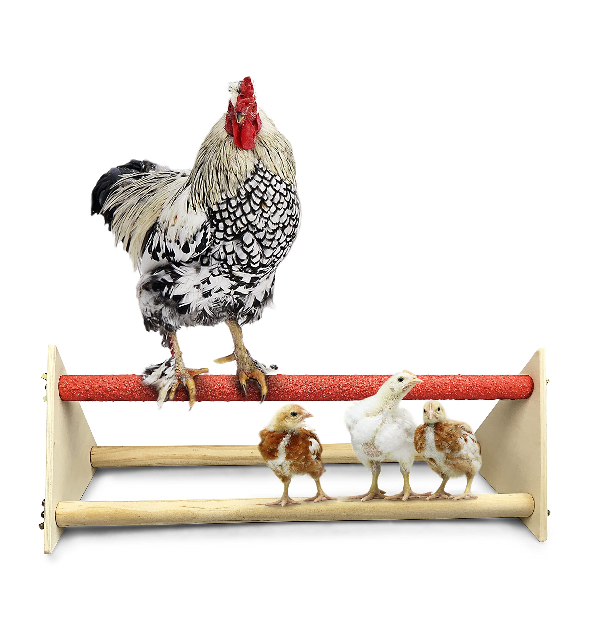 Premium Wooden Chicken Perch 16.5