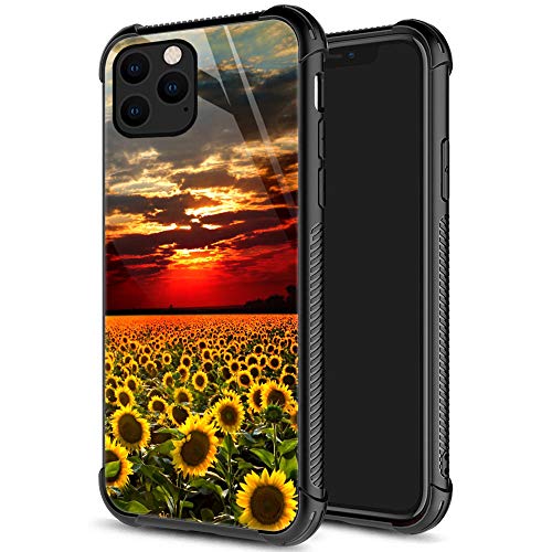 Sunset sunflower