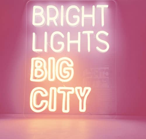 31x24 Inch Vivid LED Neon Sign - Bright Lights Big City Beer Wall Decor, Super Bright Neon Lamp for Bar, Pub, Man Cave & Home Decoration (BLBC655)