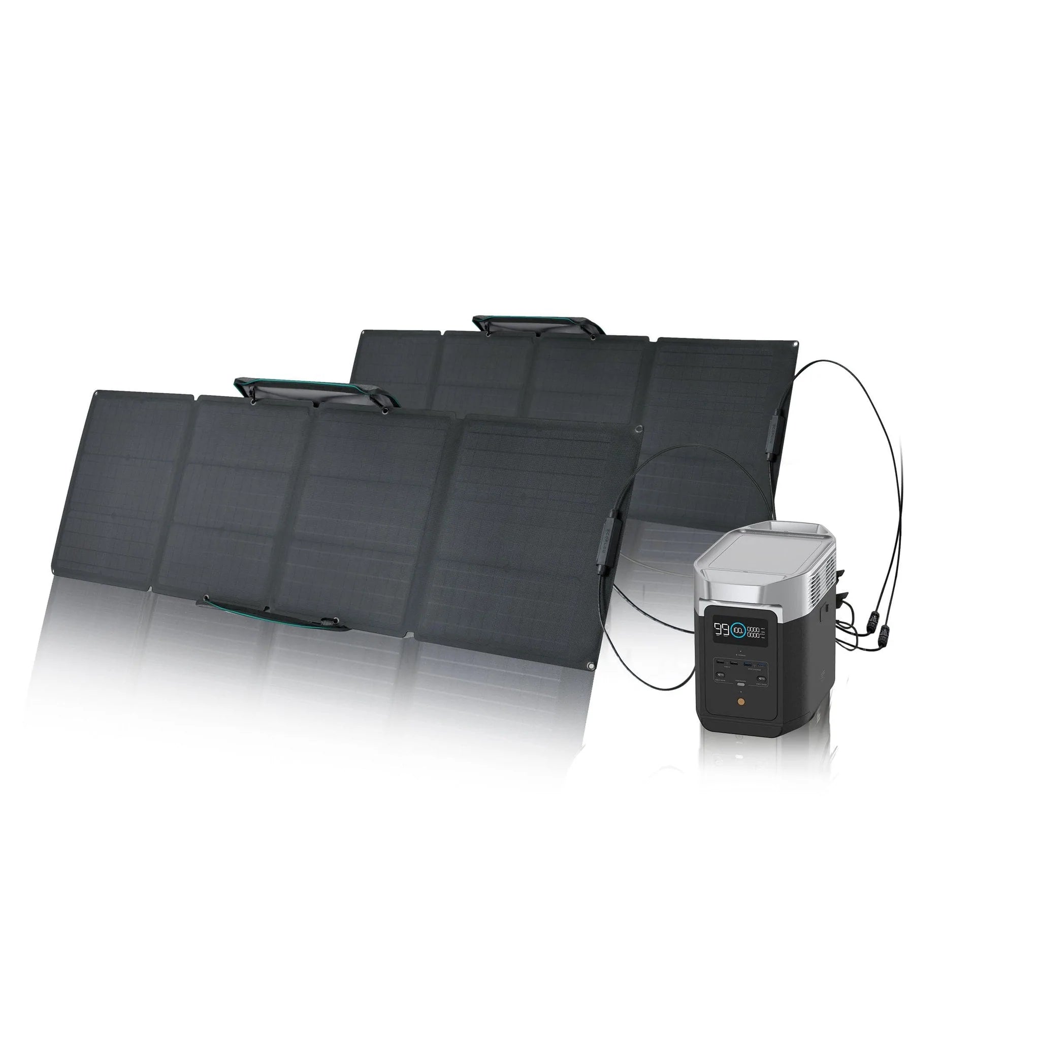 EcoFlow DELTA 2 Portable Power Station with 110W Solar Panel - Solar Generator for Camping, RV, Emergency Backup & Off-Grid Power