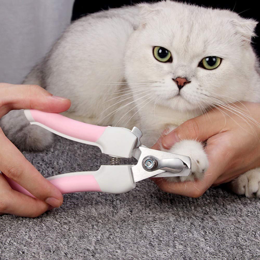 Professional Cat & Dog Nail Clippers - Stainless Steel Pet Grooming Kit with Safety Round Tip, Heavy Duty Titanium Coated Shears & Comb | Perfect for Home Pet Grooming & Nail Trimming Sessions