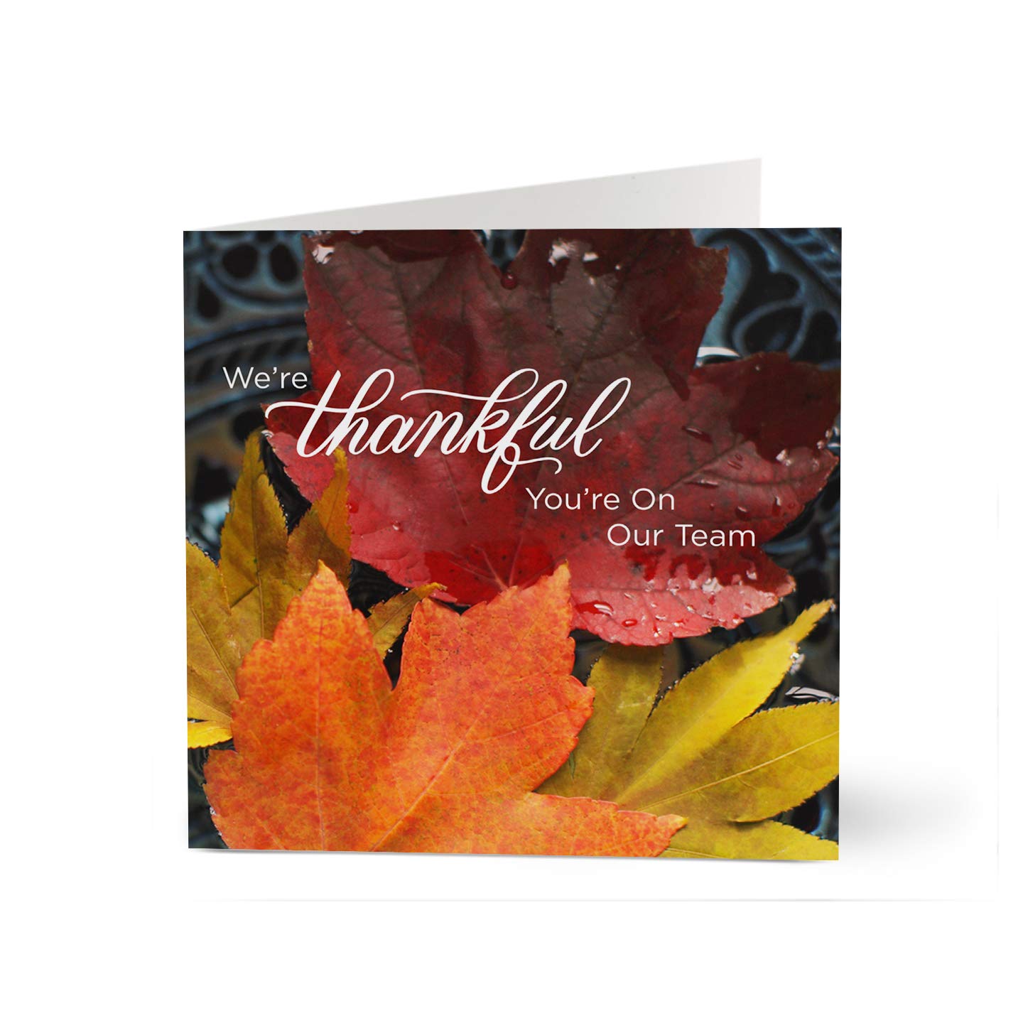 Hallmark Business Thanksgiving Cards for Employee Appreciation - Thankful Team Greeting Cards (Pack of 100) - Perfect for Corporate Gifts, Office Celebrations & Staff Recognition