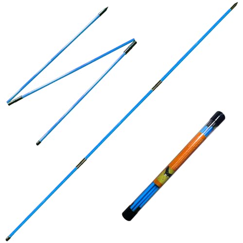 blue-1
