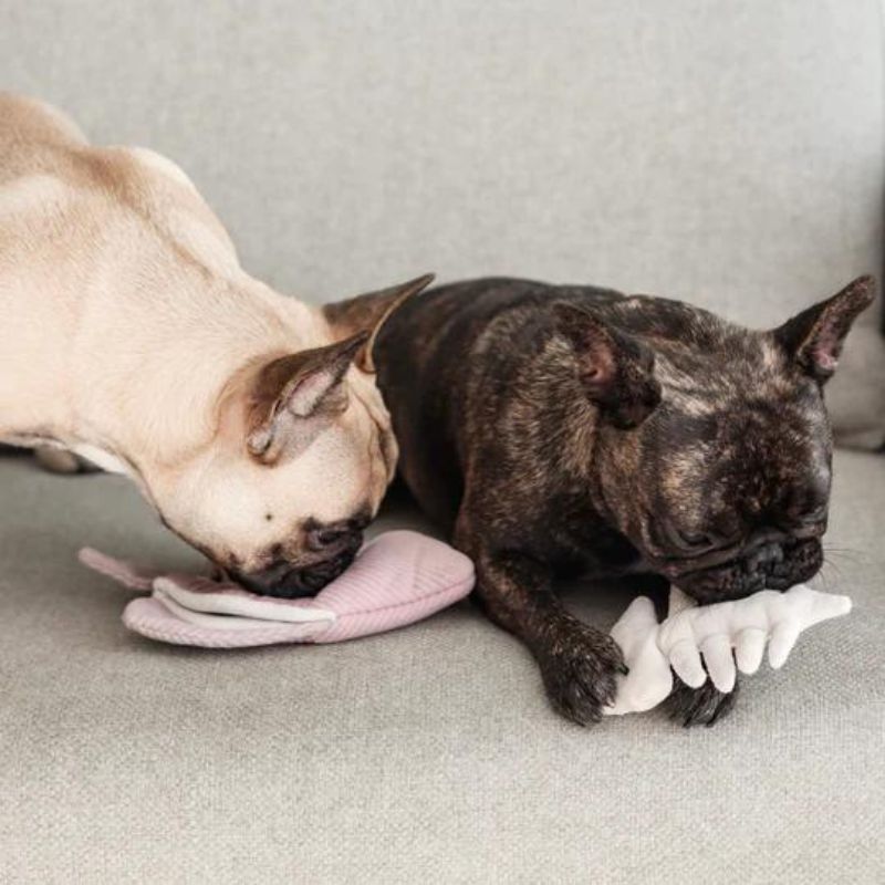 Lambwolf Collective Angel Fish Dog Toy - Durable Chew Toy for Small & Medium Dogs - Perfect for Playtime, Training & Teething Relief
