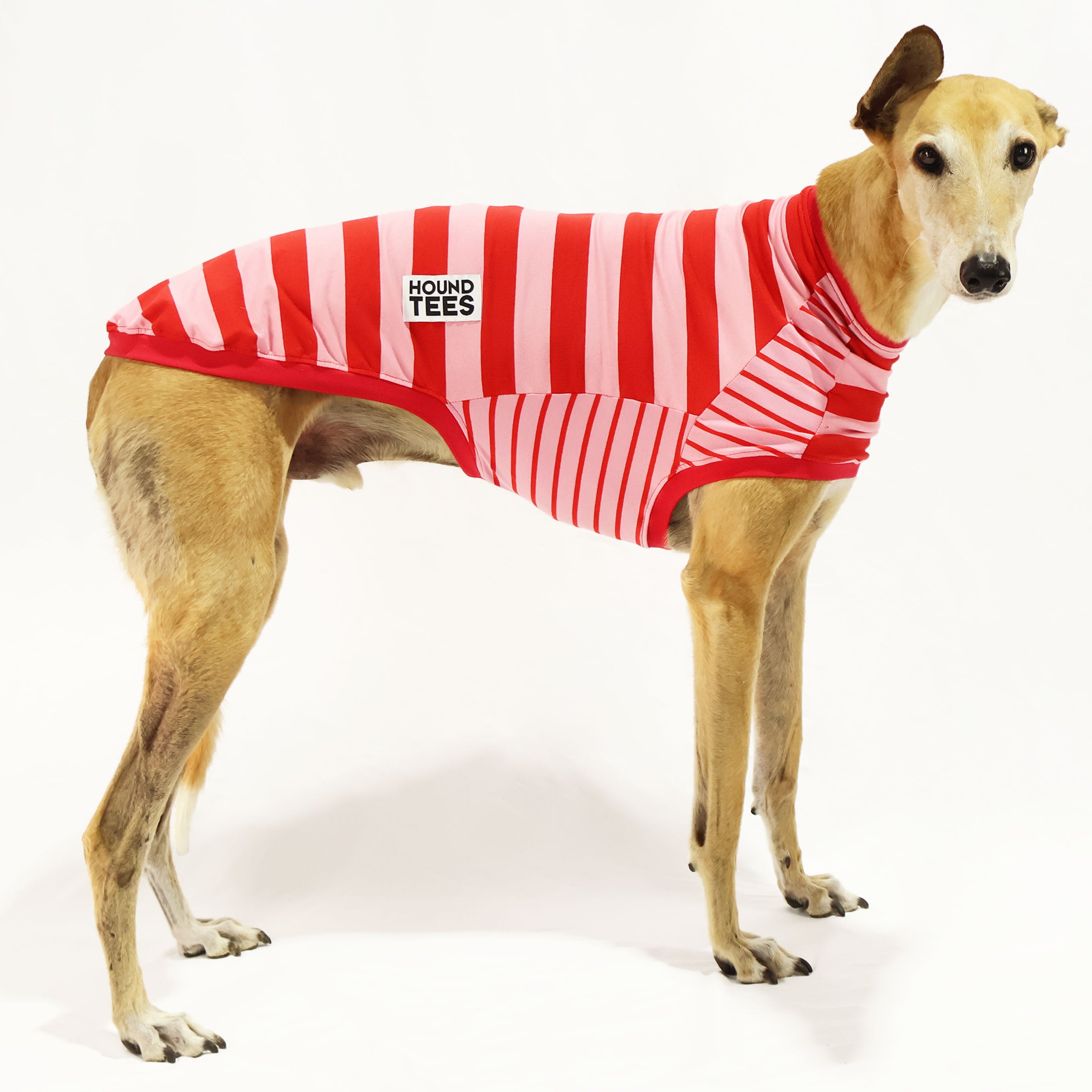 Love Candy Greyhound Sleeveless Hound Tee - Trendy Graphic Dog T-Shirt for Women - Perfect for Casual Wear, Dog Lovers Gift & Summer Outfits