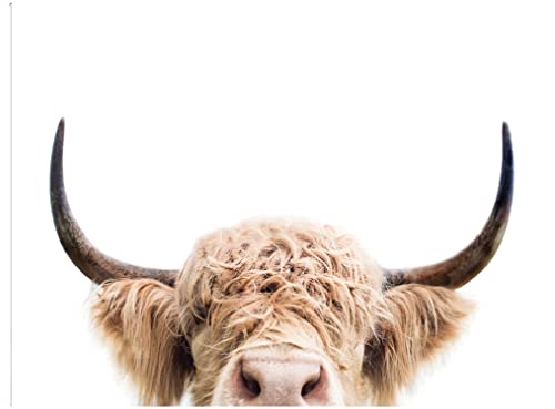 Peeking Cow