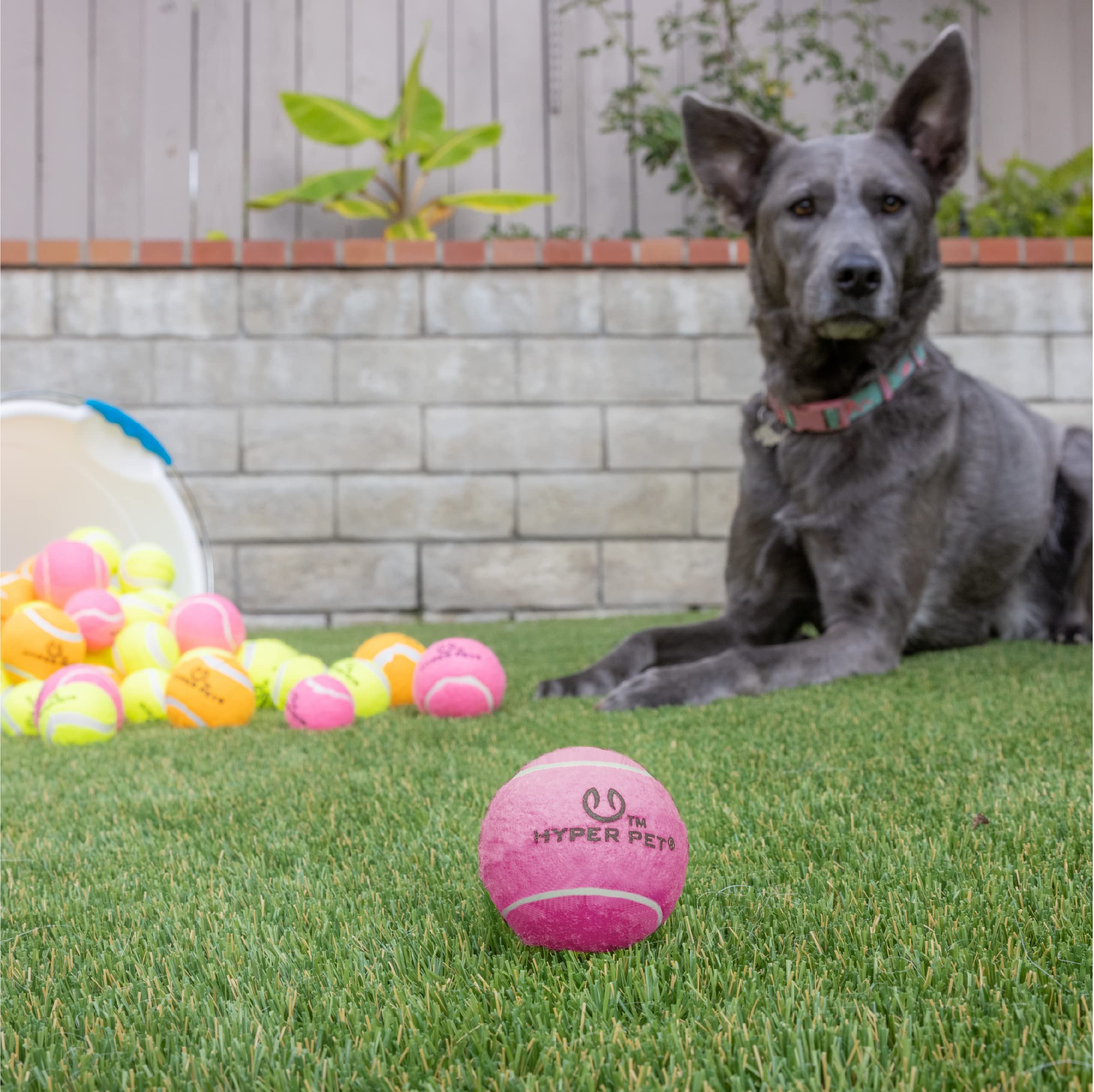 Hyper Pet Tennis Balls for Dogs - Safe, Durable 2.5