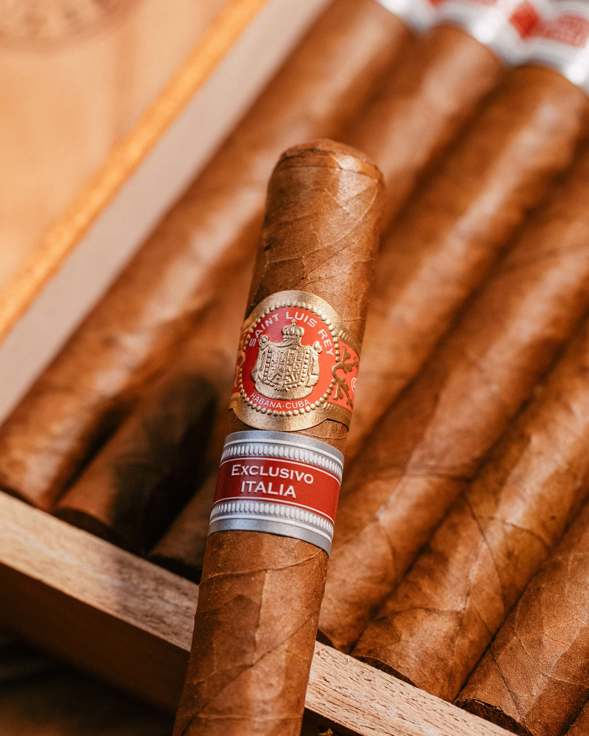 Saint Luis Rey La Cuna Edición Regional Italia 2024 - Premium Cuban Cigar for Collectors & Connoisseurs | Perfect for Special Occasions & Luxury Gifting