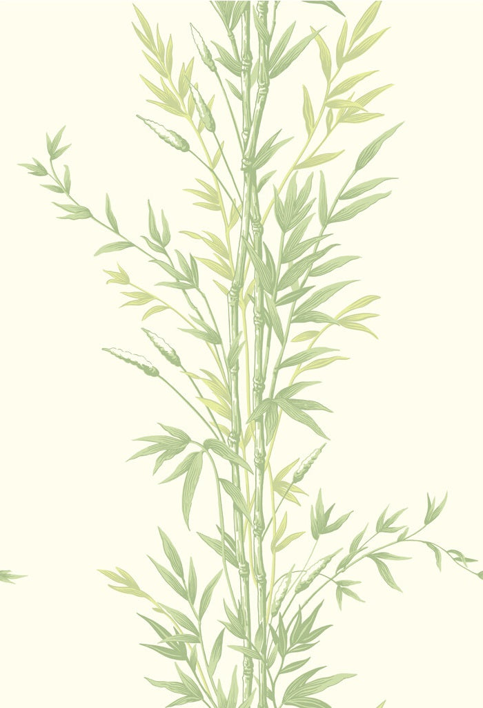 100/5023 | Premium Bamboo Wallpaper by Cole and Son - Elegant Home Decor for Living Room, Bedroom & Office