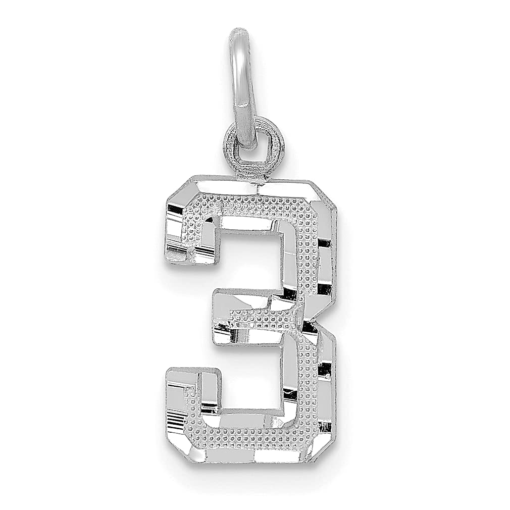 14K White Gold Small Brushed Number 3 Charm Pendant Necklace - Dainty Fine Jewelry for Women - Perfect Birthday, Anniversary & Graduation Gifts for Her - Everyday Wear & Special Occasions