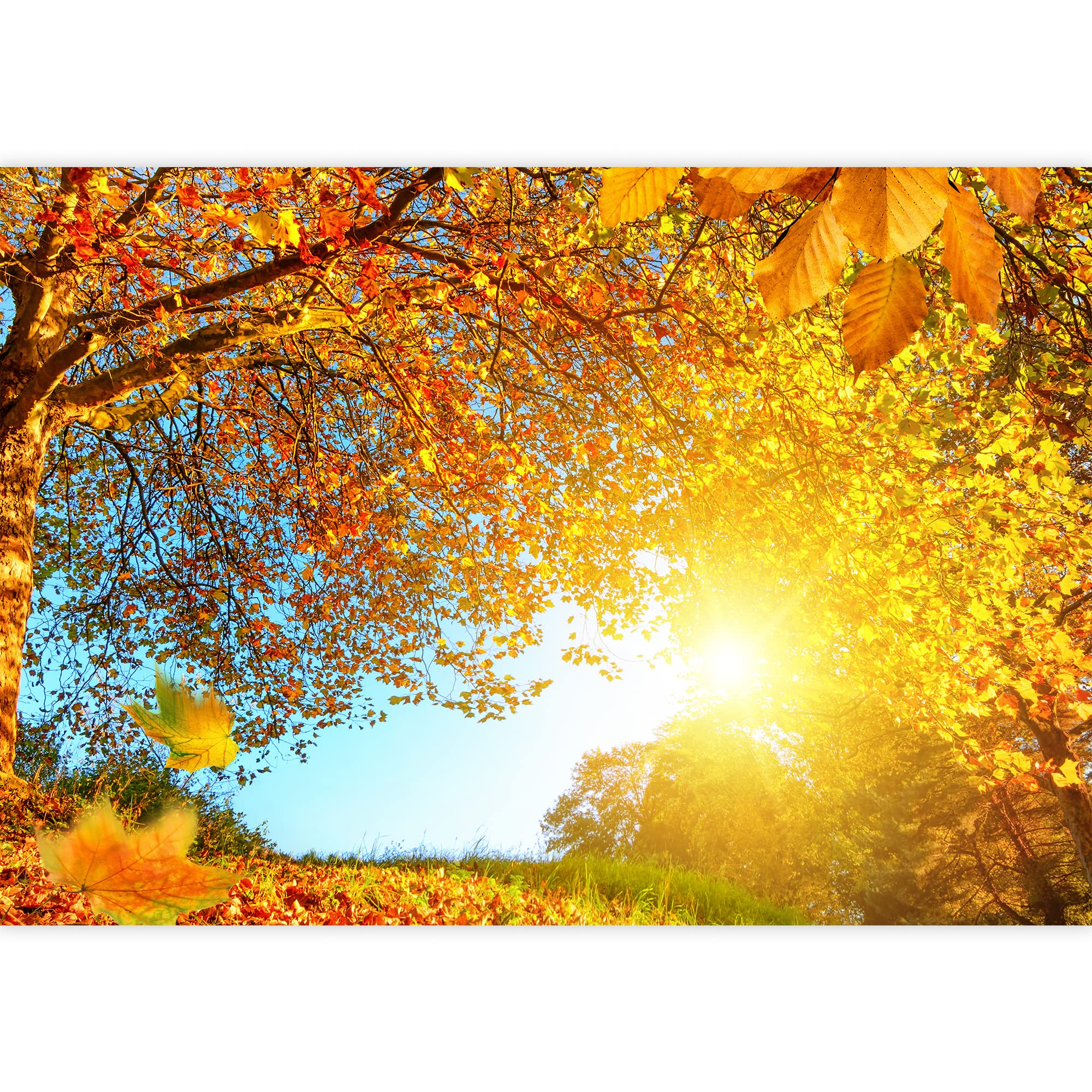 Golden Autumn Scenery Wall Mural - Self-Adhesive Removable Wallpaper with Tree, Falling Leaves, Blue Sky & Sun (100x144 inches) - Perfect for Living Room, Bedroom & Office Decor