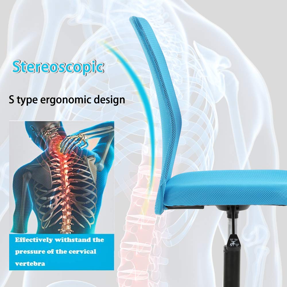 Ergonomic Mesh Office Chair with Adjustable Lumbar Support - Breathable Back Support Computer Desk Chair, Height-Adjustable Swivel Rolling Task Chair for Women & Men - Perfect for Home Office, Gaming & Workspaces (Blue)