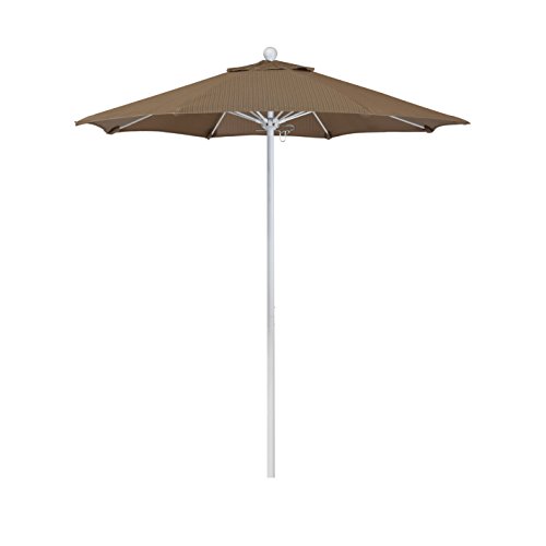 Terrace Sequoia