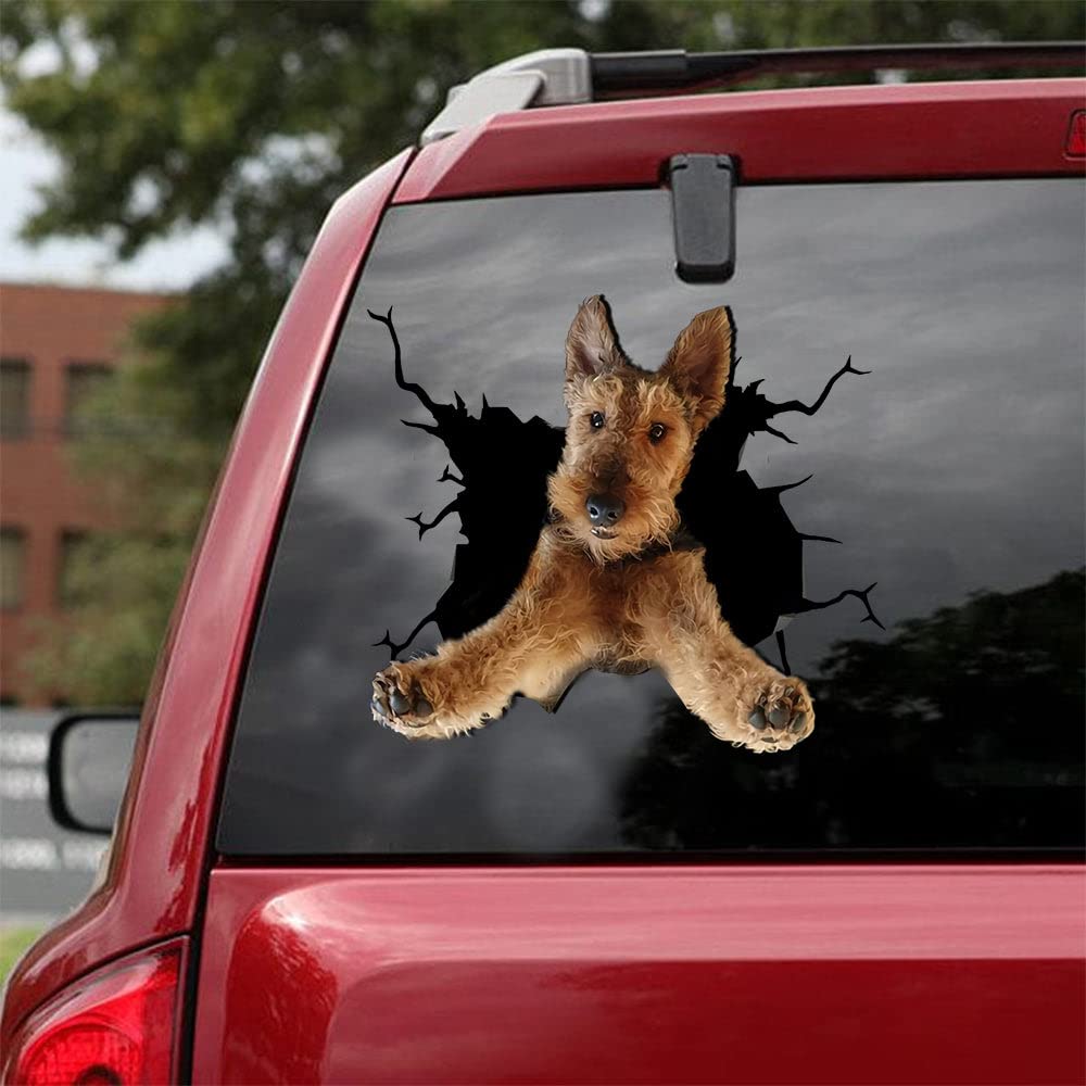 Funny Irish Setter Dog Cracked Glass Car Sticker - Vinyl Decal for Windows, Bumpers & Laptops - Perfect Gift for Irish Setter Lovers | Great for Cars, Trucks, Water Bottles & DIY Projects