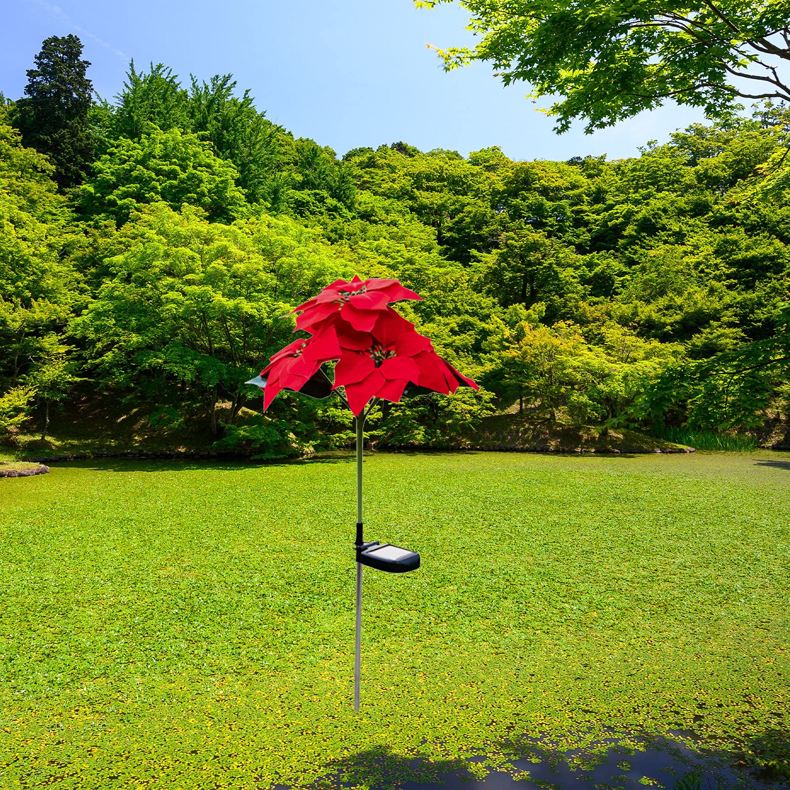 Solar Powered Outdoor Flower Lights - 2 Pack Waterproof LED Poinsettia & Rose Stake Lights for Garden, Yard, Patio, Pathway Decor | Christmas Holiday Decoration | Perfect for Landscape Lighting, Wedding Decor, and Festive Ambiance