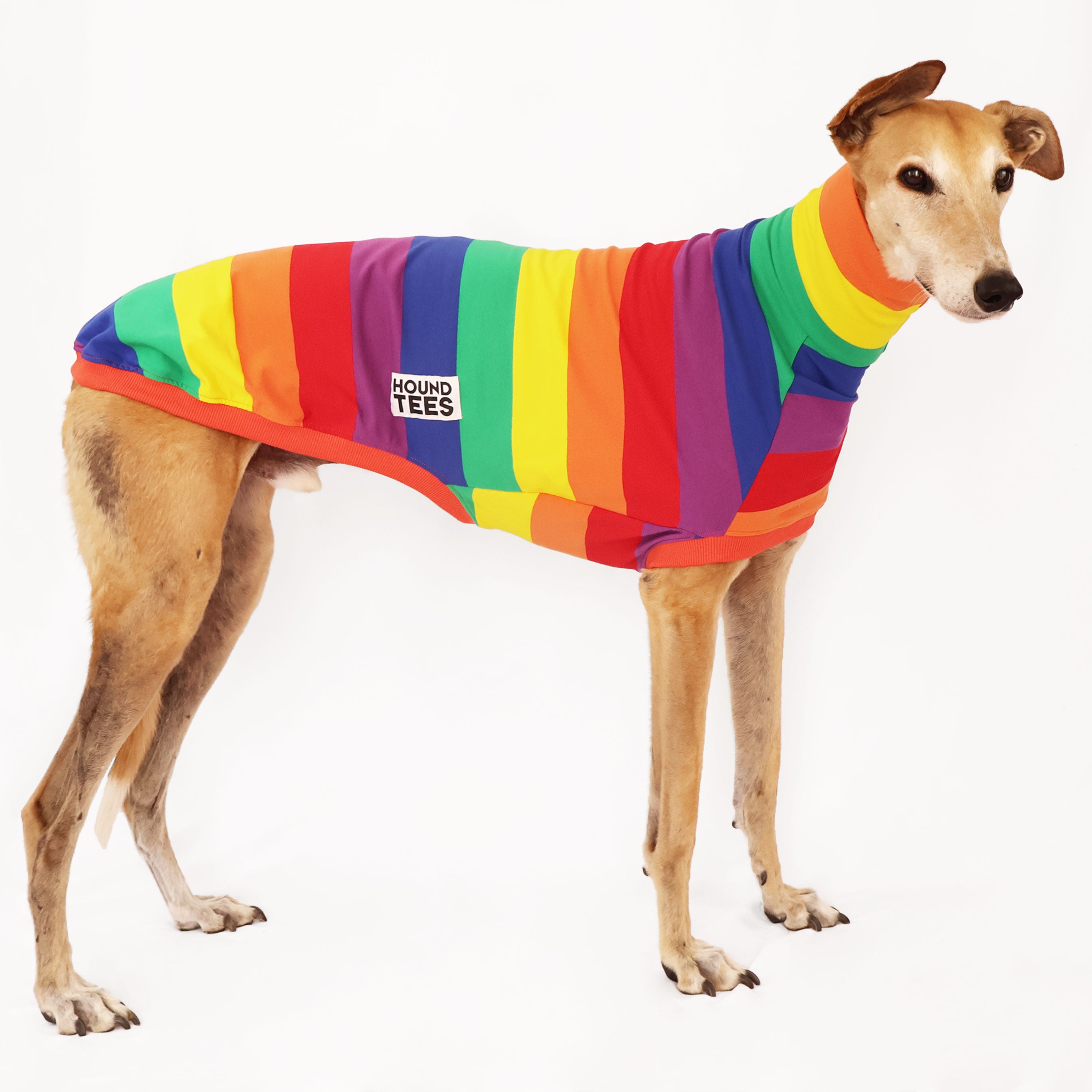 Stylish Greyhound Print Sleeveless Sweater for Women - Trendy Dog Lover Fashion Top - Perfect for Casual Outings & Pet-Themed Events