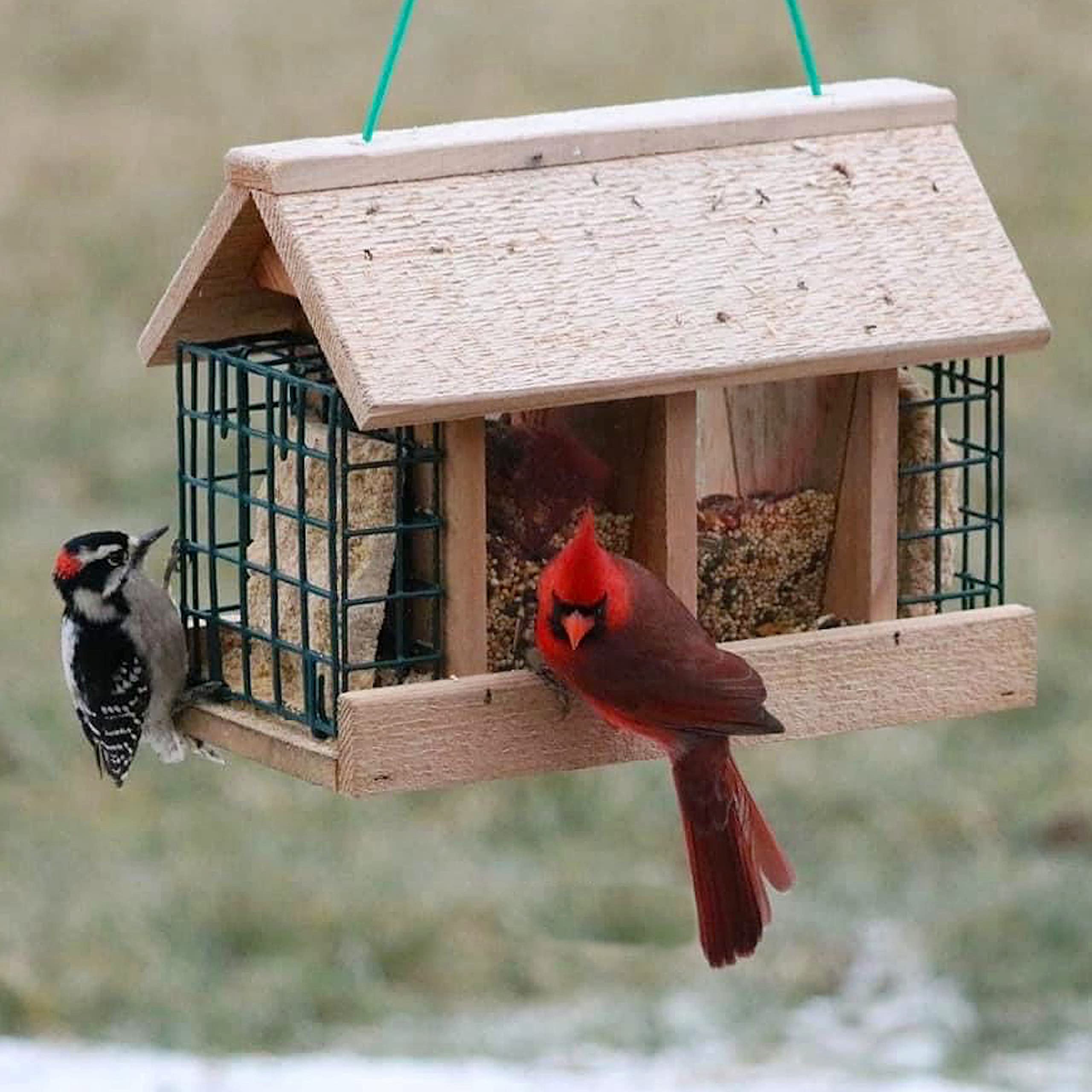 Premium Cedar Hopper Bird Feeder with Dual Seed & Suet Cages - Attract Wild Birds with 2 Feeding Options - Perfect for Backyard, Garden & Bird Watching Enthusiasts