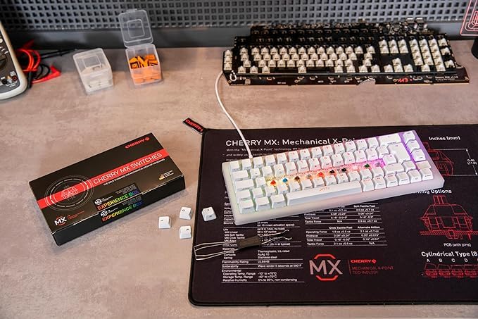 Cherry MX Switch Experience Box - 10-Pack Mechanical Keyboard Switches for DIY, Hot Swap & Gaming Keyboards | Official Cherry MX Switches for Typing, Gaming & Custom Builds