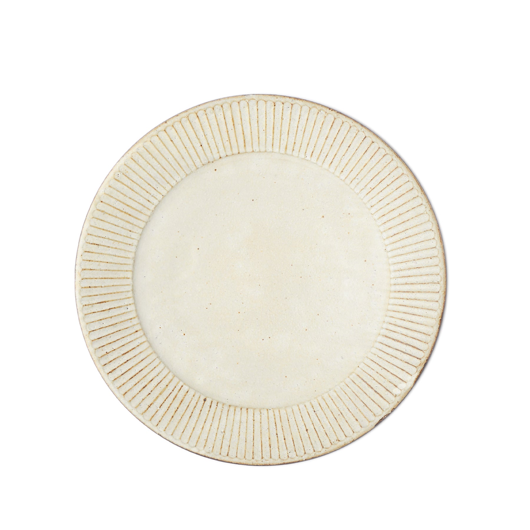 31-Ply Pleated Filter Plate (10.6