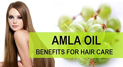 KHADI RISHIKESH Ayurvedic Amla Hair Oil for Hair Growth & Fall Control - 210ml | Promotes Long Strong Hair for Women & Men | Free Keychain Included | Perfect for Daily Hair Care & Scalp Massage