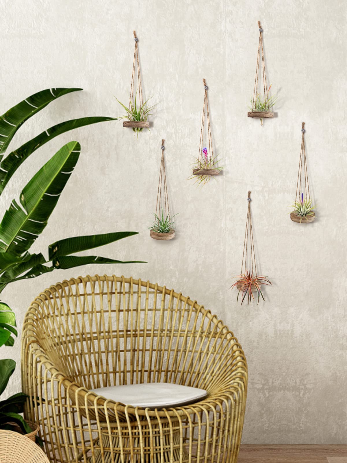 6 Pcs Hanging Wooden Air Plant Holders - 3 Inch Round Wooden Tillandsia Hangers with Jute Ropes, Rustic Air Plant Stand for Succulent Display | Home Office Decor, Wedding Party Favors, Gardening Gifts (Plants Not Included)