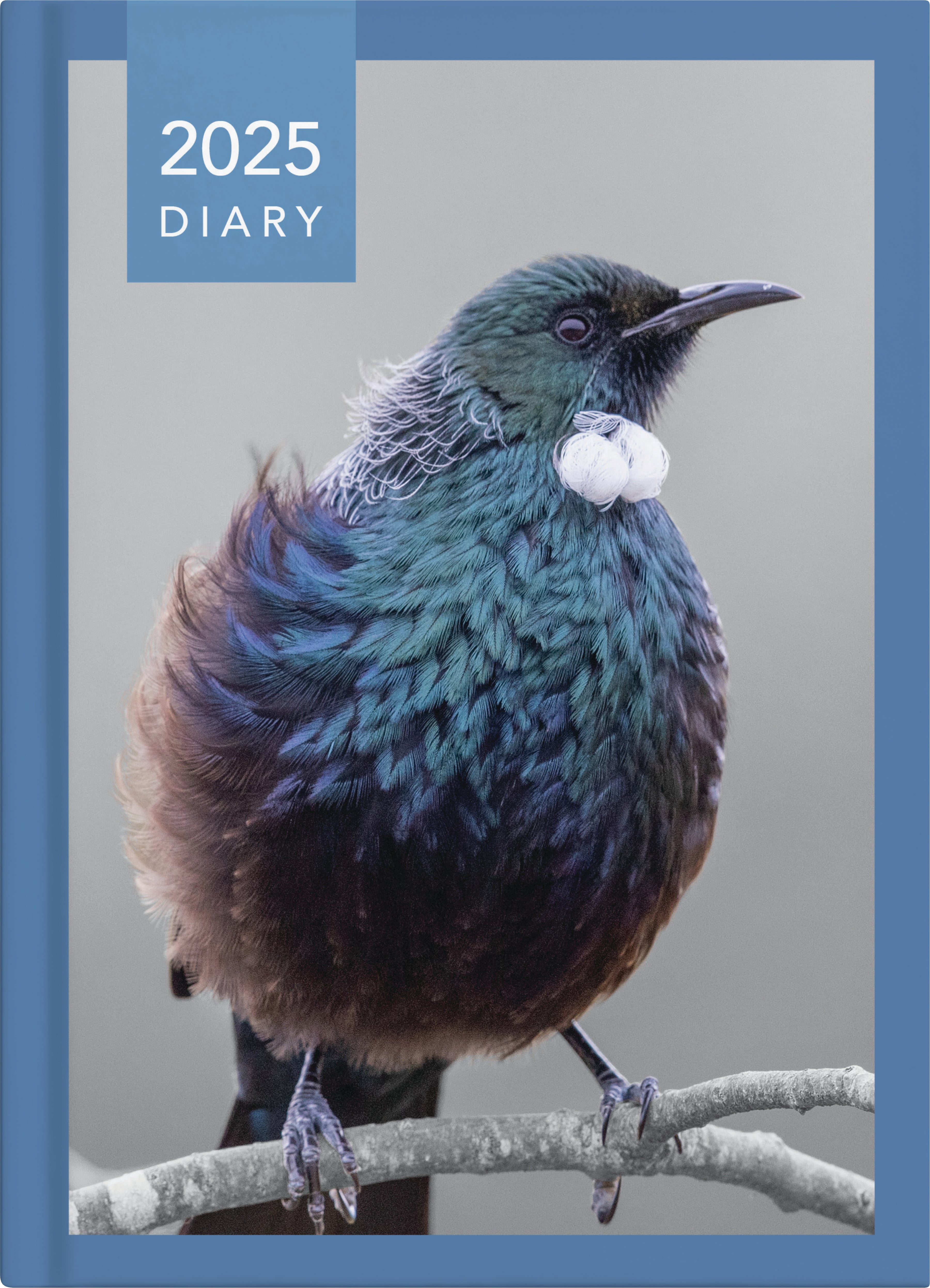 2025 Collins A51 NZ Birds Day-to-Page Diary with Assorted Design Cover - 148mm x 210mm (5.8