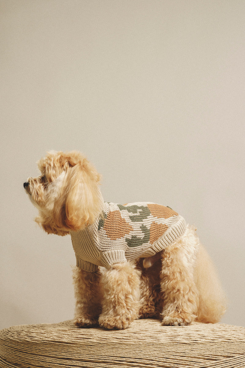 Dog Cardigan Sweater - Soft Pony Cotton Knit for Small Dogs - Cozy Winter Wear for Indoor & Outdoor Use