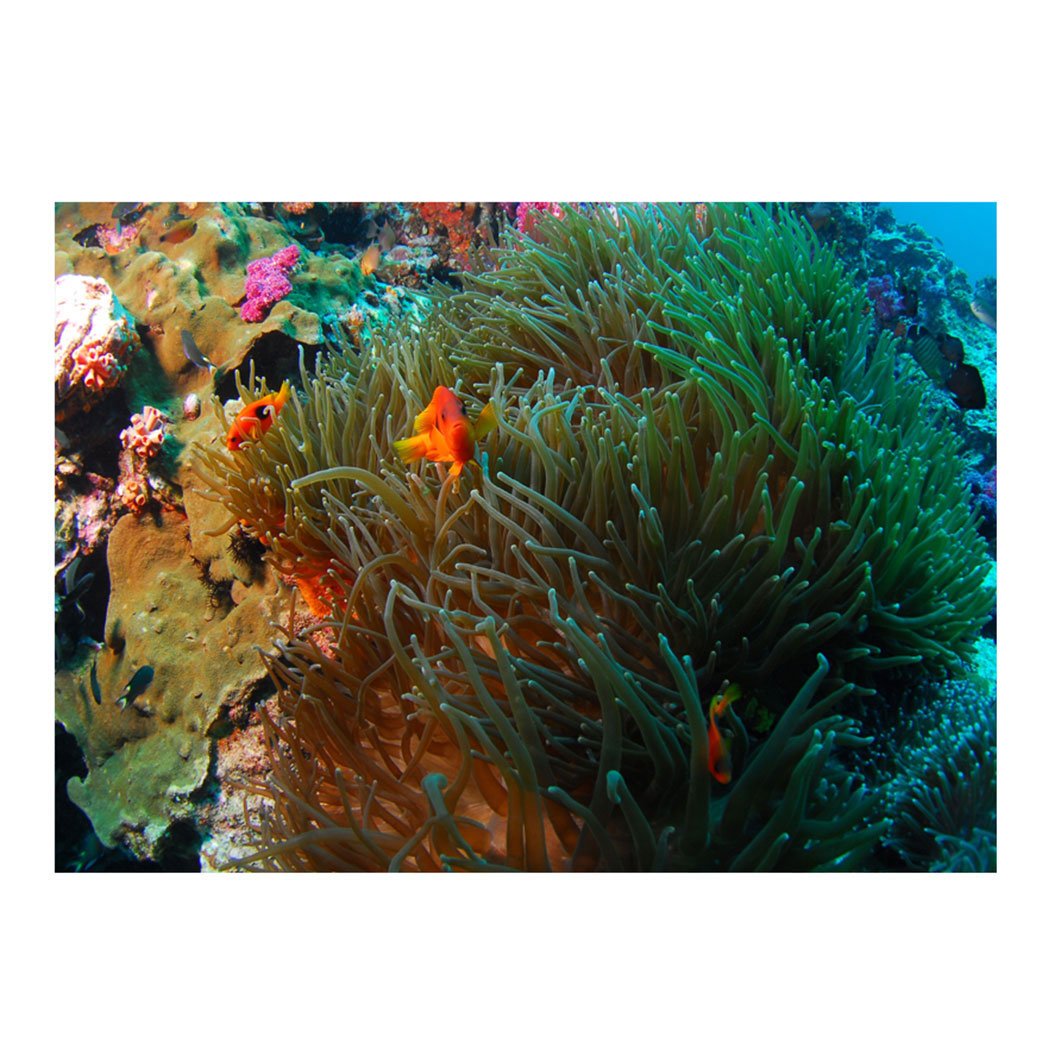 YOKOU Aquarium Background Decorative Wallpaper - Fish Tank Backdrop Static Cling Sticker with Coral Design, 29.5