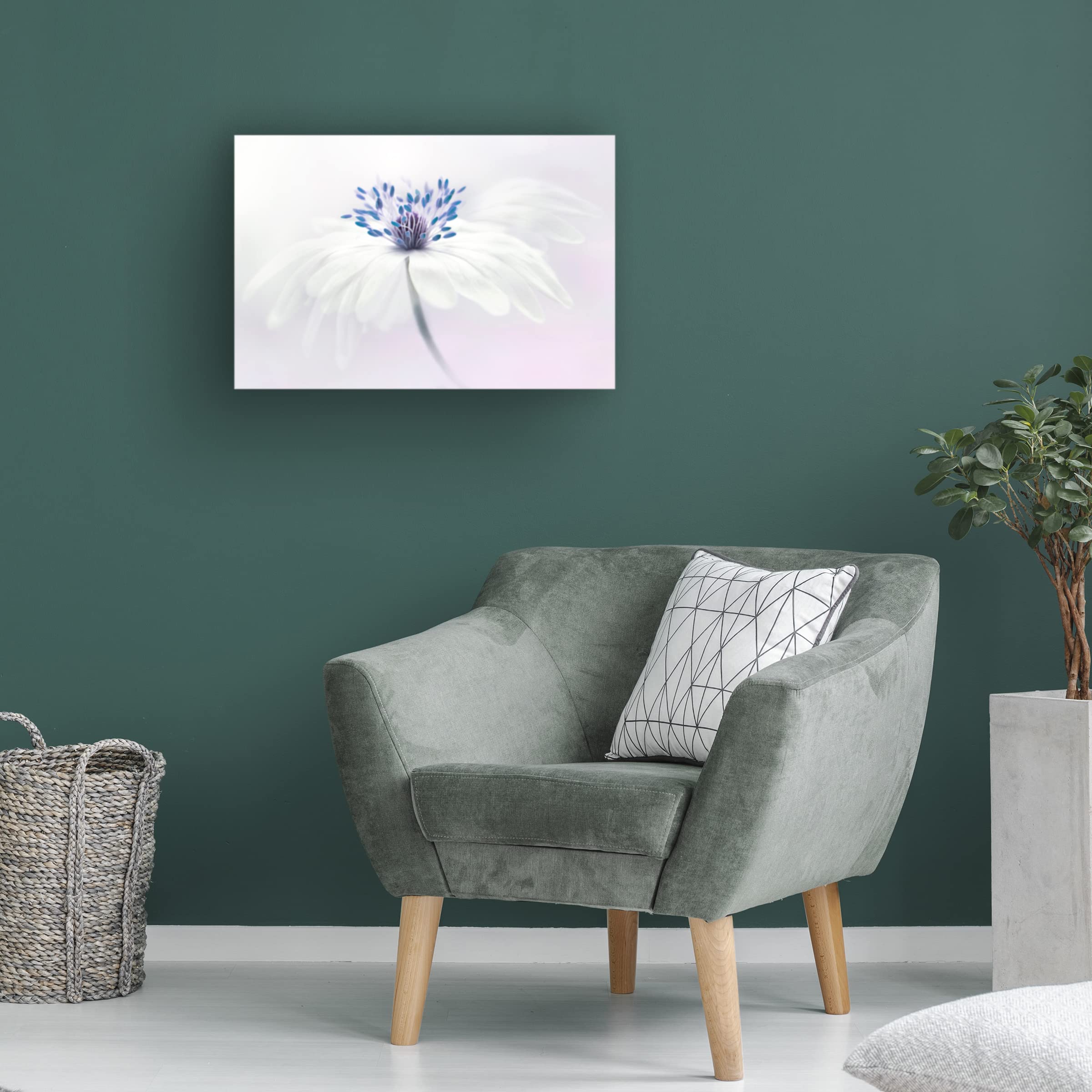Jacky Parker 'Anemone Blanda' Floral Canvas Wall Art Print - Handmade Home Decor for Living Room, Bedroom & Office