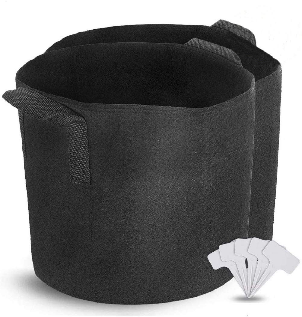 10 Gallon Fabric Grow Bags - 2 Pack Nonwoven Plant Pots with 5 Plant Labels for Vegetables, Flowers & Herbs | Durable Garden Containers for Indoor/Outdoor Planting, Raised Beds & Urban Gardening