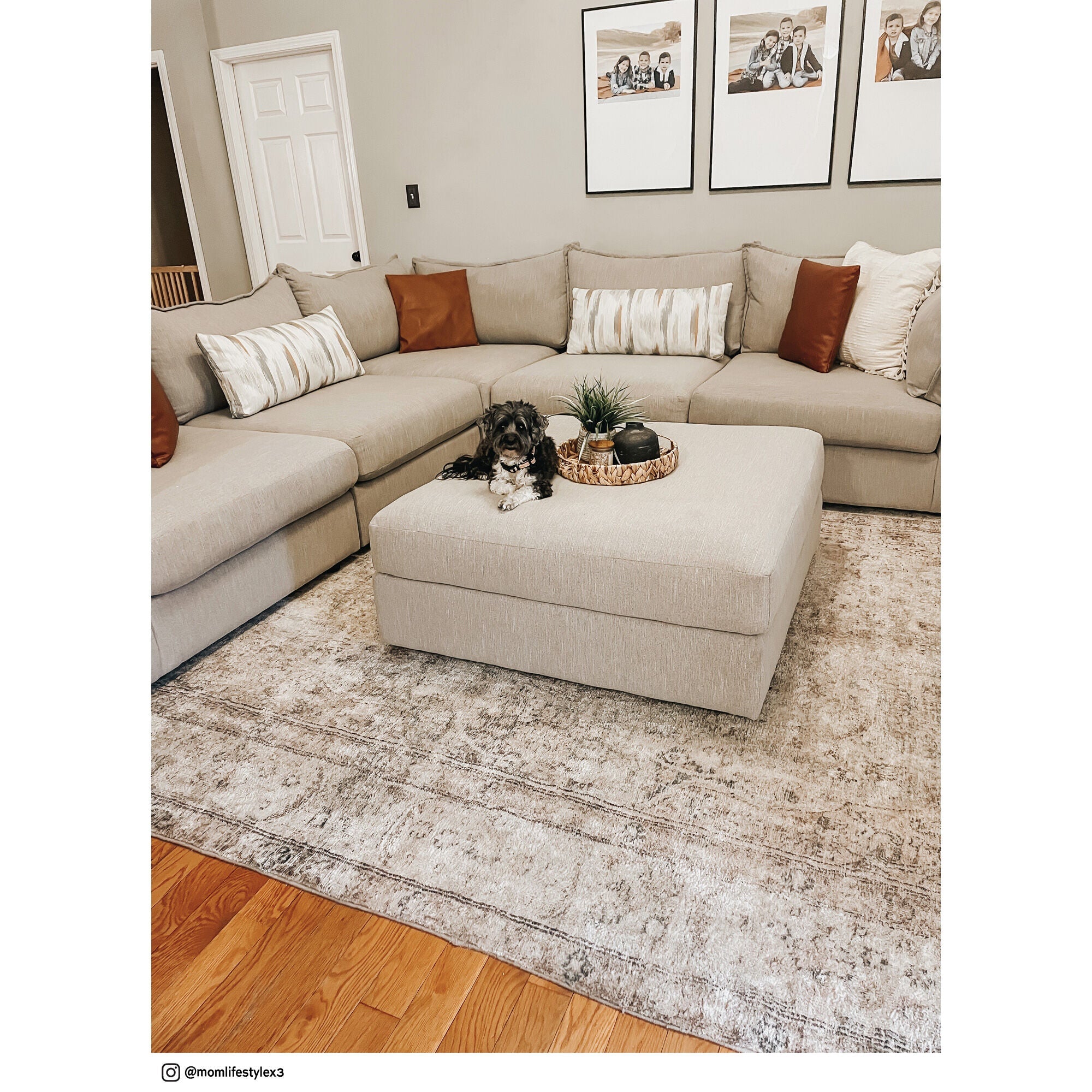 Floza 5-Piece Modular Sectional Sofa Set - Modern L-Shaped Couch with Chaise Lounge for Living Room, Family Room & Home Theater