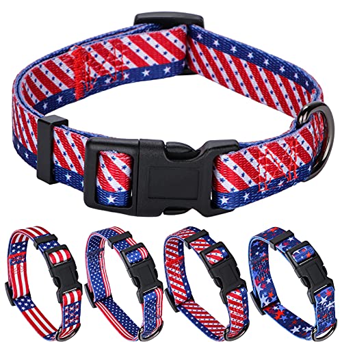 G-Great American Flag